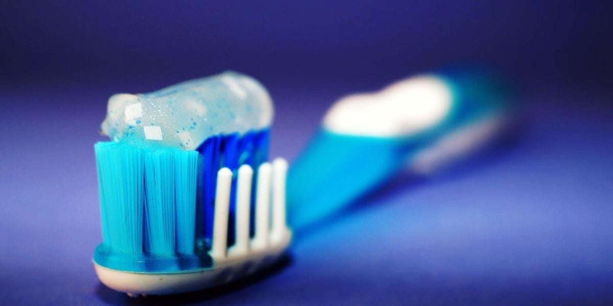Conoce los cuidados de la caja de dientes