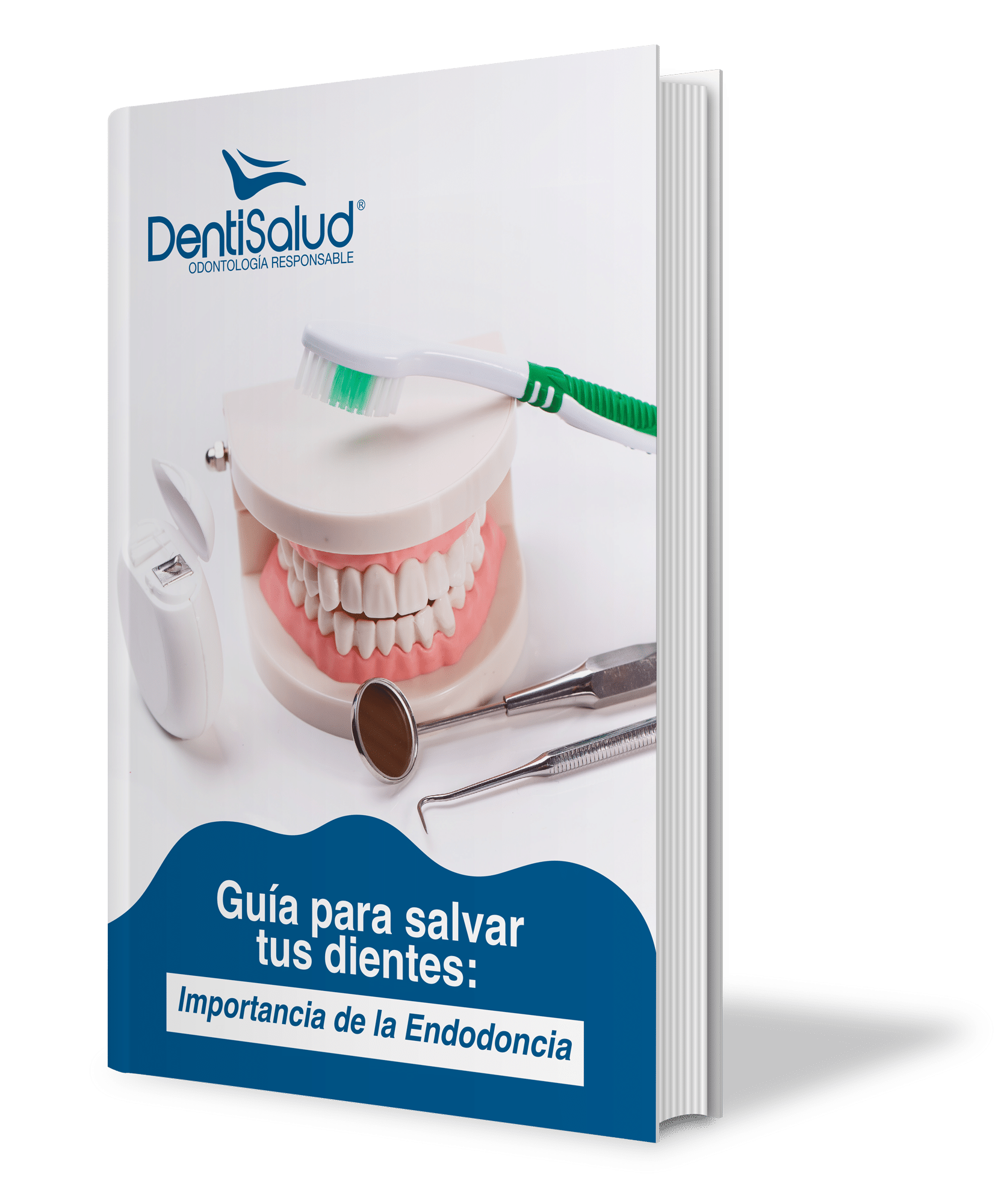 Guía para salvar tus dientes: Importancia de la Endodoncia