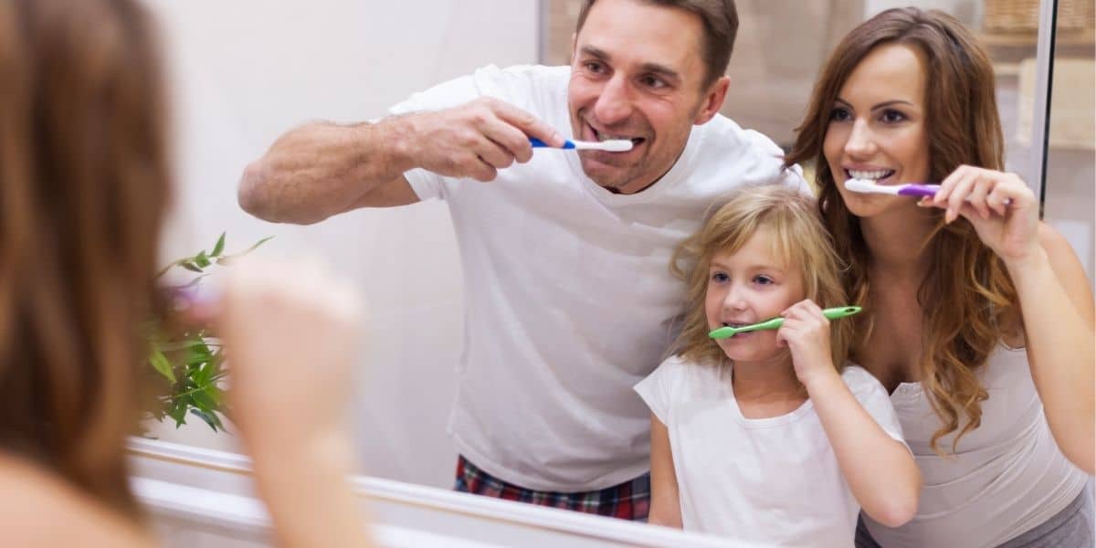 Tipos de Dientes y Tipos de Muelas: Conoce Todos y su Función